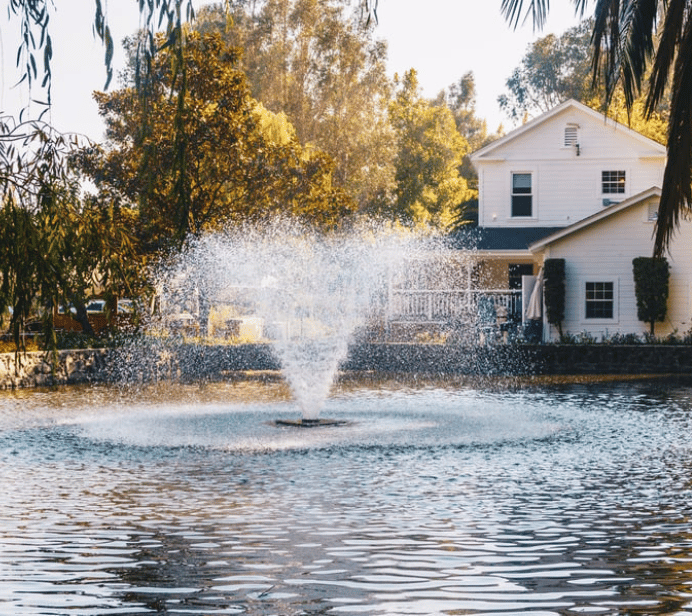 Pondside Sips & Bites