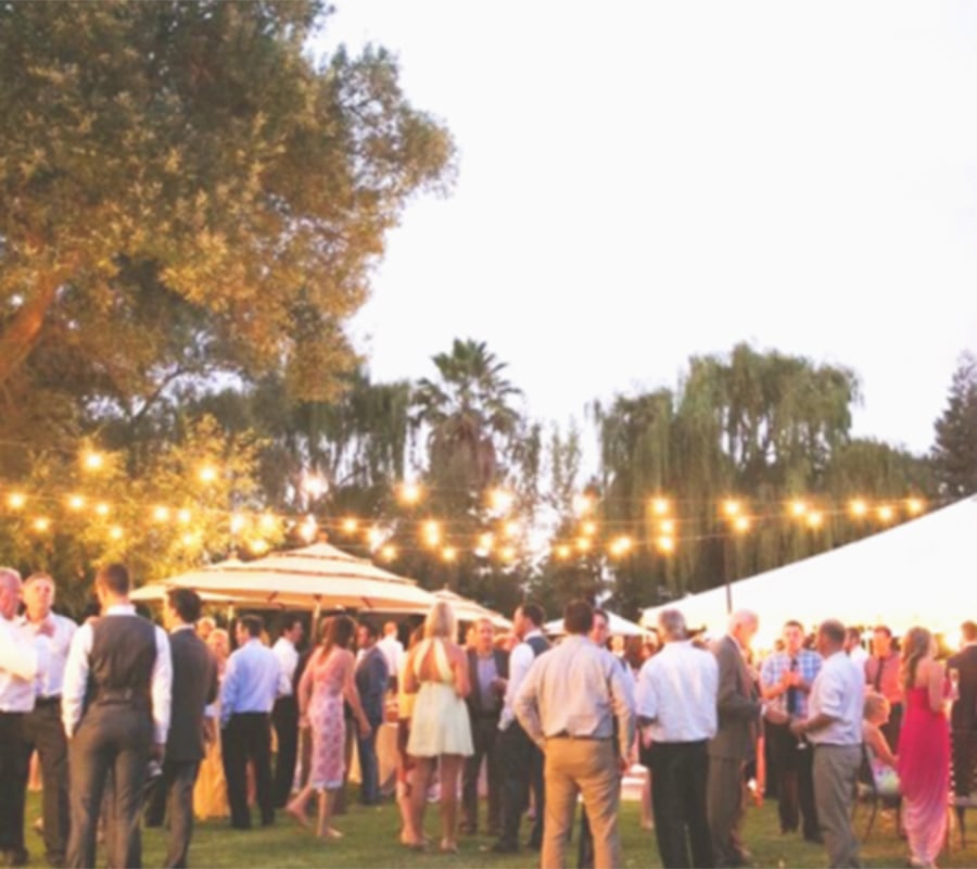 Cline-Group-Wine-Tasting