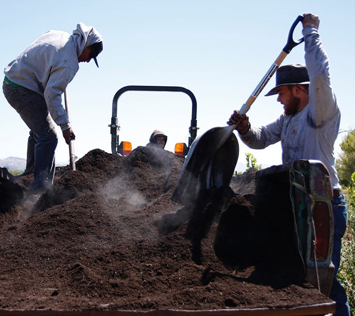 Compost & Compost tea