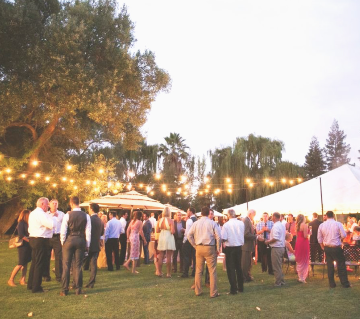 group-of-people-tasting-wine