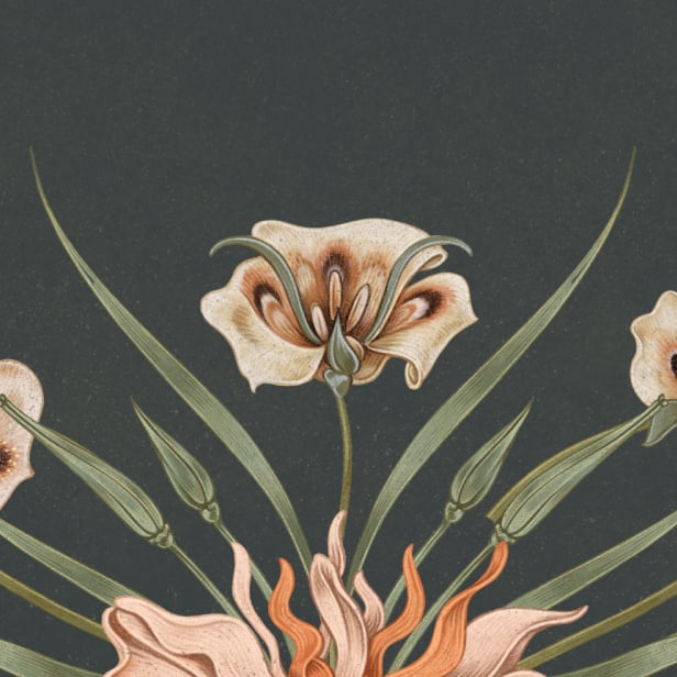 Cashmere-Lily-616x616 (1)