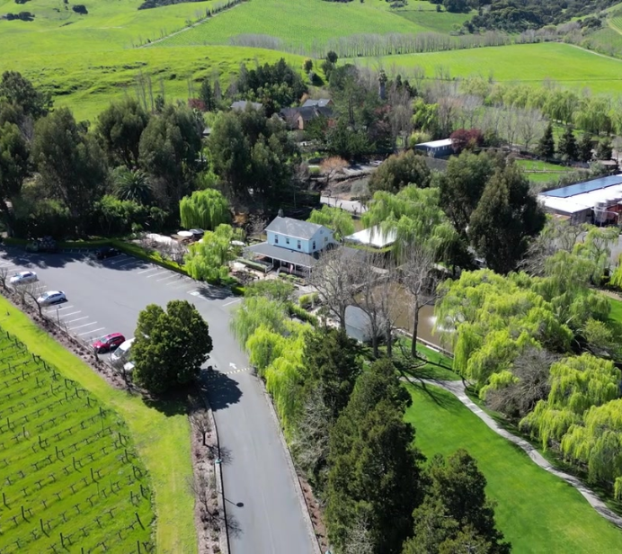 Cline Tour in Sonoma