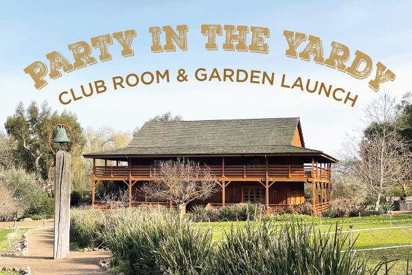Party in the Yardy, Pendulum Club Launch